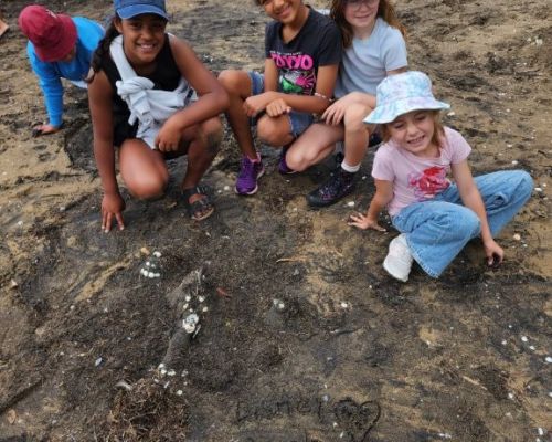 Kelston_Primary_Cornwallis_Trip_2026 (37).jpg