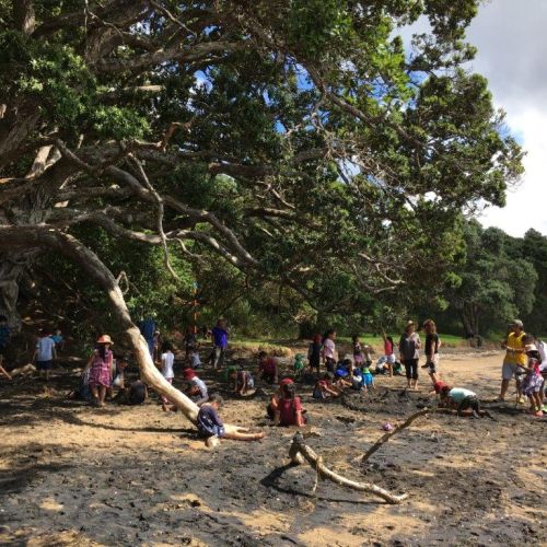 Kelston-Primary-Cornwallis-Beach-Trip-2018 (11).jpg