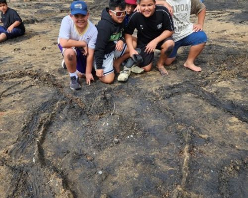 Kelston_Primary_Cornwallis_Trip_2026 (12).jpg