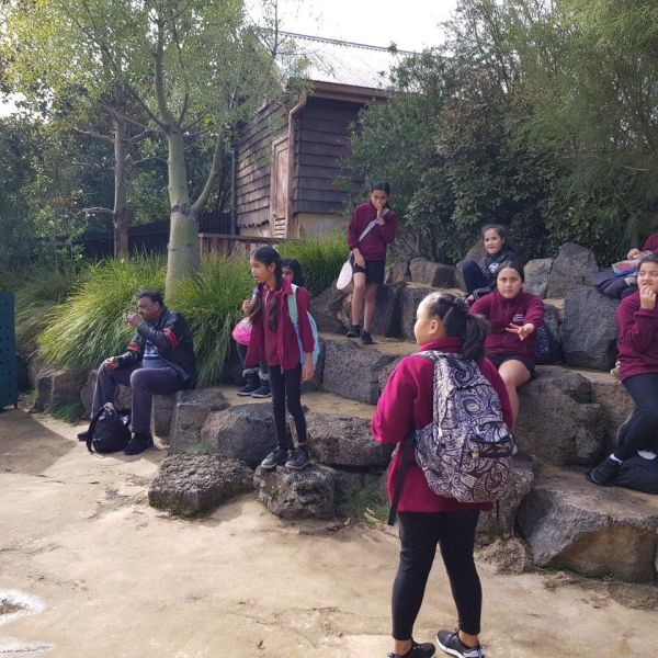 Kelston-Primary-Zoo-Trip-2019 (222).jpg