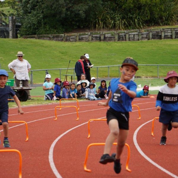 Kelston-Primary-School-Athletics-Day-2018 (19).jpg